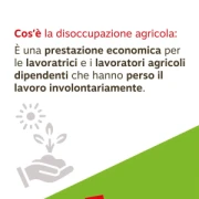 disagricola_02